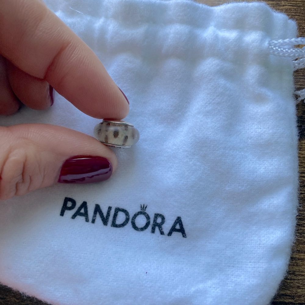 Pandora charm